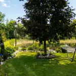 Rooted in Beauty: Protecting the existing canopy to enhance the shoreline’s character.