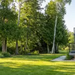 The best of both: Harmonizing mature greenery with new site developments.
