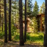 A Secluded Sanctuary: Preserving the existing canopy to create a private, woodland retreat.
